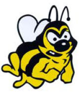 Medina City Schools